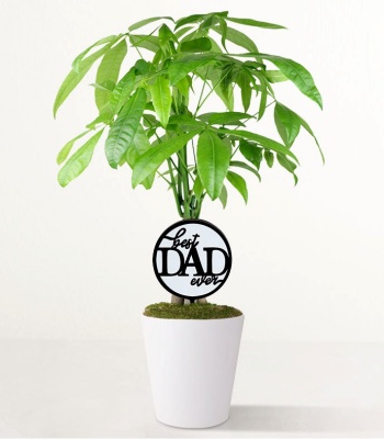 Best Dad Ever Money Tree