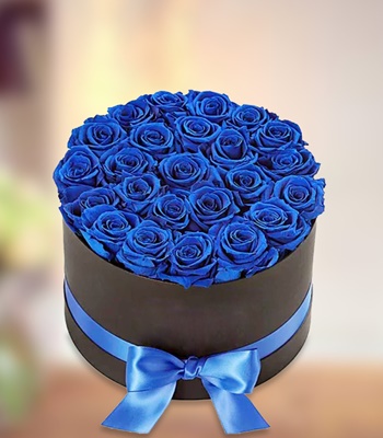 Blue Roses in Box