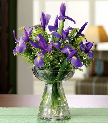 Iris Flower Bouquet - Free Open Top Bud Vase