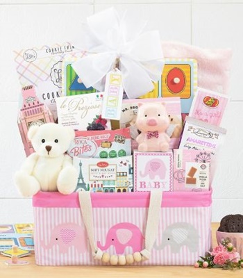 Baby Girl Bundle of Joy - Pink