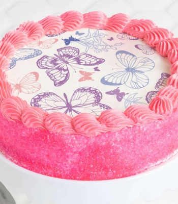 Butterfly Cake