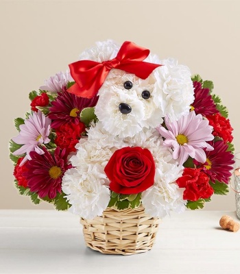 Carnations And Roses In Dog Shape Arrangement