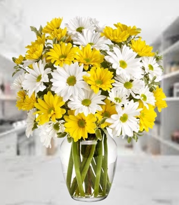 Daisy Flower Bouquet