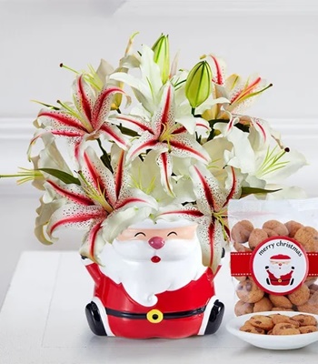 Christmas Lily Bouquet With Santa Cookie Jar & Cookies