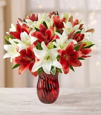 Christmas Lily Bouquet in Red Vase