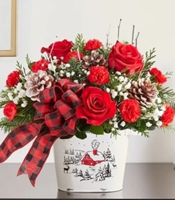 Christmas Red & White Blooms With Pinecones & Birch Accents