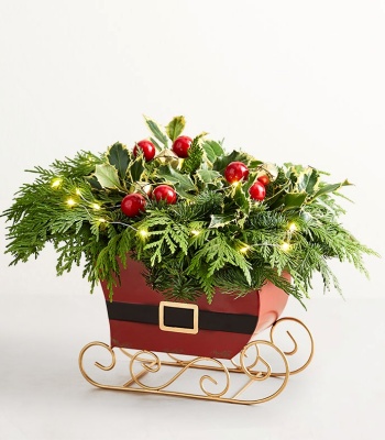 Classic Christmas Evergreens Sleigh