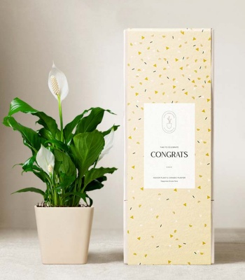 Congrats Peace Lily