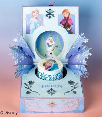 Disney Frozen Bloom Box
