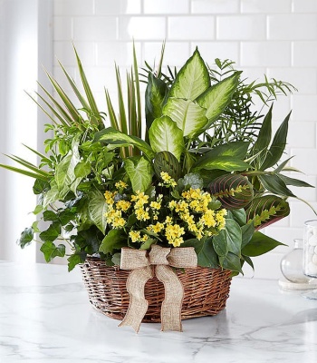 European-Style Sympathy Dish Garden