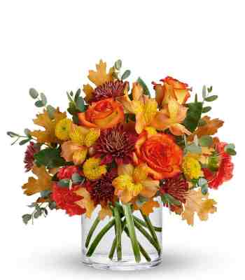 Fresh Autumn Flowers
