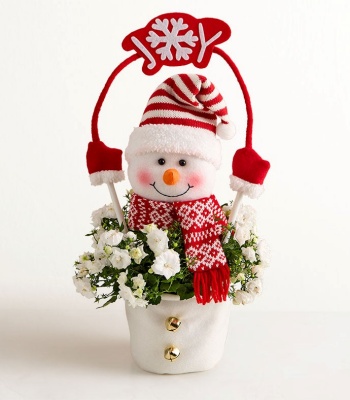 Frosty The Snow Plant