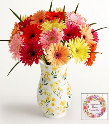 Gerbera Daisies Arrangement