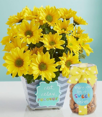 Get Well Soon Flowers