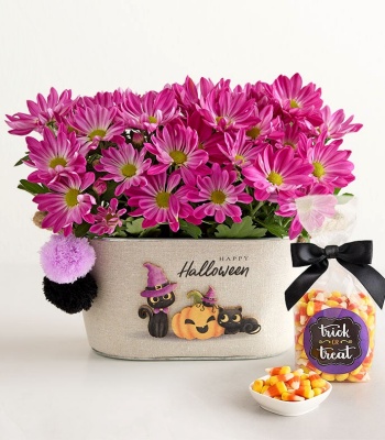 Happy Halloween Purple Flower Arrangement