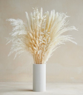 Ivory Pampas Set