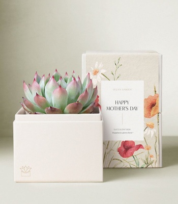 Lula's Garden � Mother's Day Bliss Garden