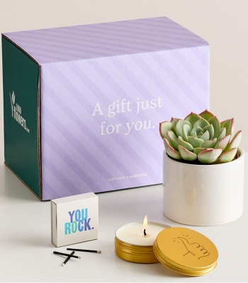 Luxury Mini Succulent Gift with Candle & Matches