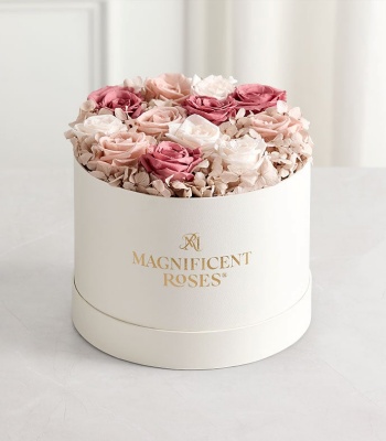 Magnificent Roses Preserved Blushed Beauty