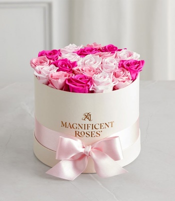 Magnificent Roses - Preserved