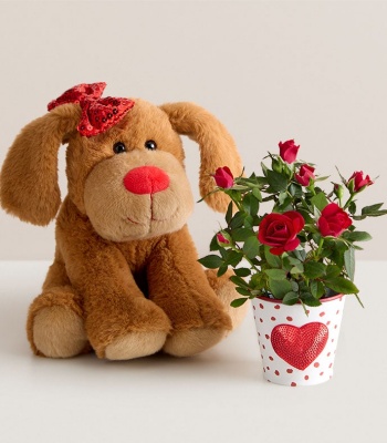 Mini Rose Plant & Lovable Puppy Plush Gift Set