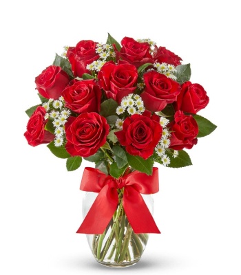 One Dozen Luxury Red Roses