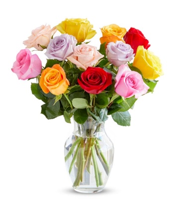 One Dozen Rainbow Roses