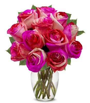 One Dozen Wild Pink Roses