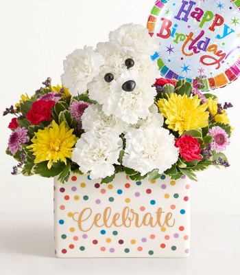 Party Pooch' Flower Arrangement in Celebrate Vase