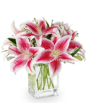 Pink Stargazer Lily Bouquet - Free Rectangle Glass Vase