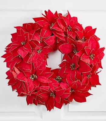 Poinsettia Christmas Plant