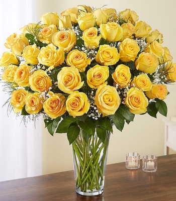 Premium Long Stem Yellow Roses in Glass Vase