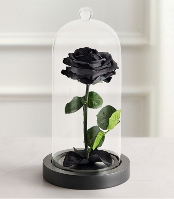 Preserved Black Rose in Glass Cloche for Halloween