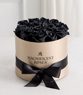 Preserved Black Roses - Two Dozen