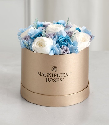 Preserved Coastal Bliss - Roses