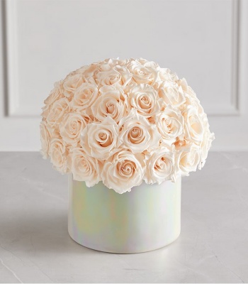 Preserved Coastal Roses Arrangement in White Hatbox