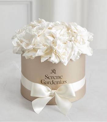 Preserved Gardenia & Hydrangea In Gold Hat Box