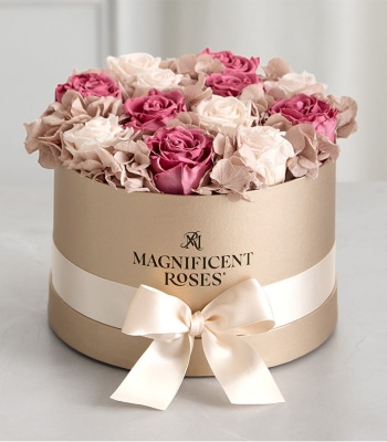 Preserved Vintage Rose Medley
