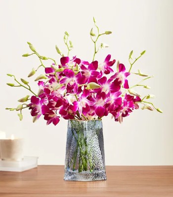 Purple Dendrobium Orchid - 10 Stems With Blue Vase