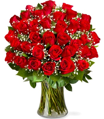 Red Roses - Premium Three Dozen | Flowers in USA