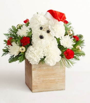 Santa Paws Christmas Flower Arrangement