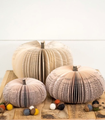 Set Of Natural Pumpkins