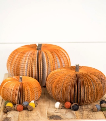 Set Of Rustic Orange Pumpkins