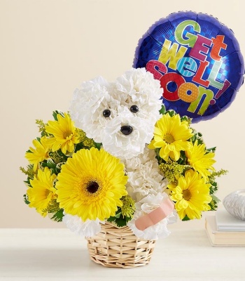 Sick As A Dog' Flower Arrangement