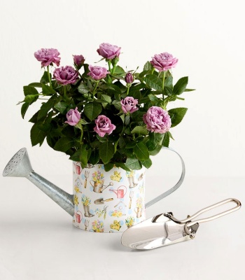 Spring Watering Can