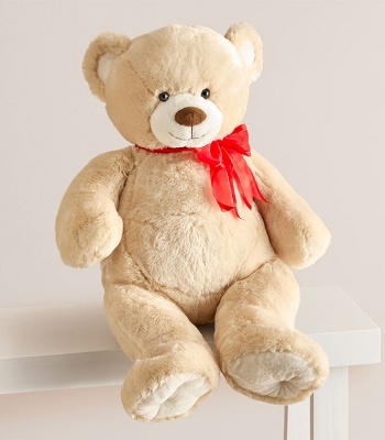 Teddy Bear For Romance