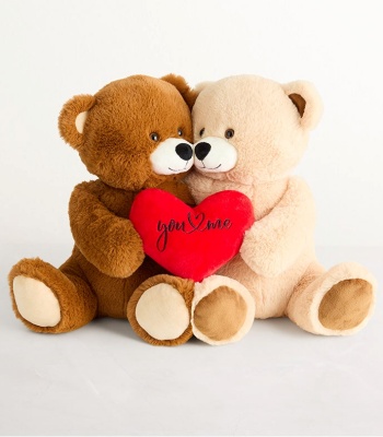 Teddy Bear - The Perfect Pair