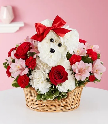 Valentine's Day White Carnation Basket With Red & Pink Flowers