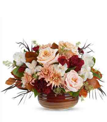 Warm Autumn Blooms