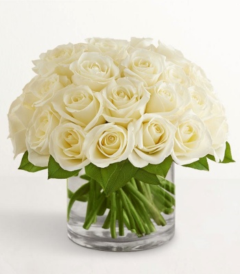 White Roses for Sympathy